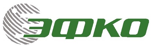 Логотип ЭФКО