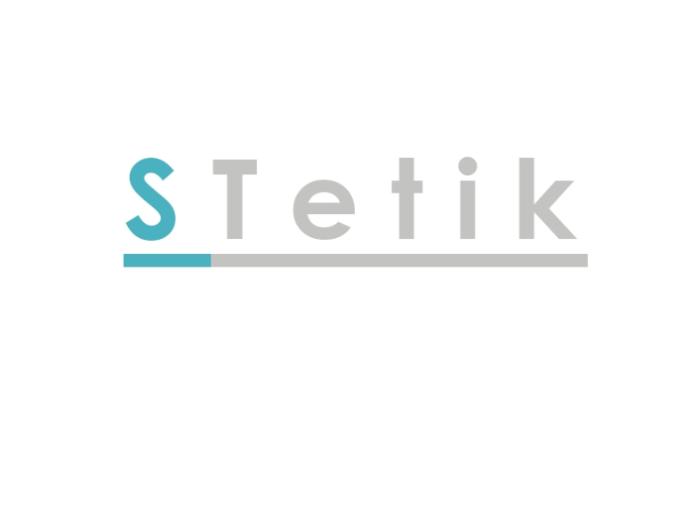 Логотип Stetik
