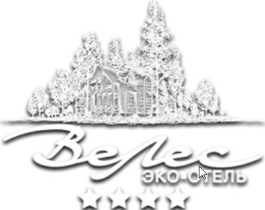 Логотип ВеЛес