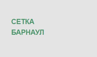Логотип Сетка Барнаул