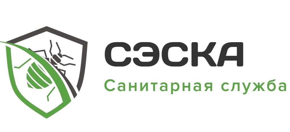 Логотип SJESKA
