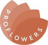Логотип ProFlowers