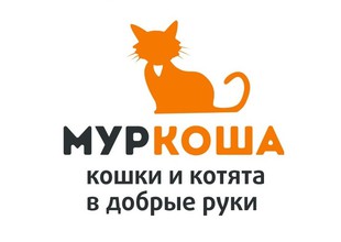 Логотип Приют для кошек Муркоша