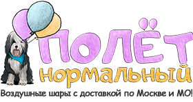 Логотип Полет Нормальный