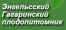 Логотип Энгельсский Гагаринский Плодопитомник Санкт-Петербург