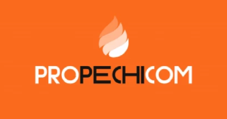 Логотип ProPechi.com