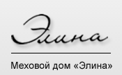 Логотип Элина