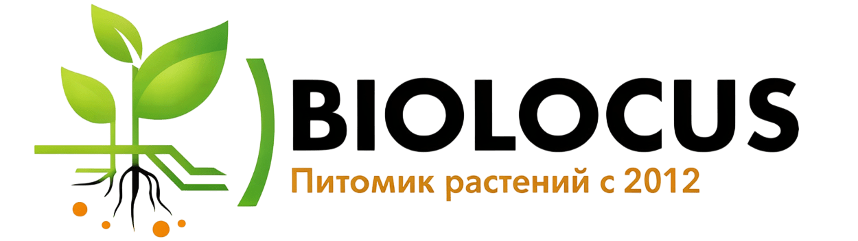 Логотип Питомник растений Биолокус Плант