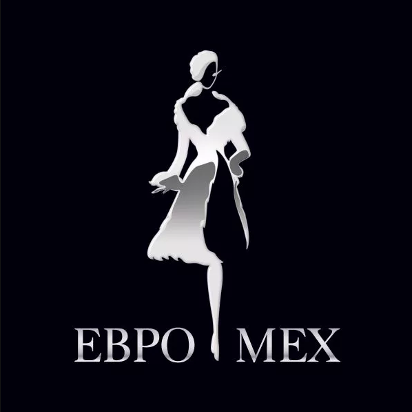 Логотип Евромех