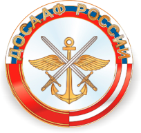 Логотип ПО АНО "Московский СТЦ ДОСААФ России"
