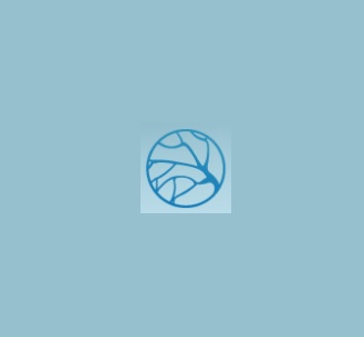 Логотип Центр Инновационной Флебологии