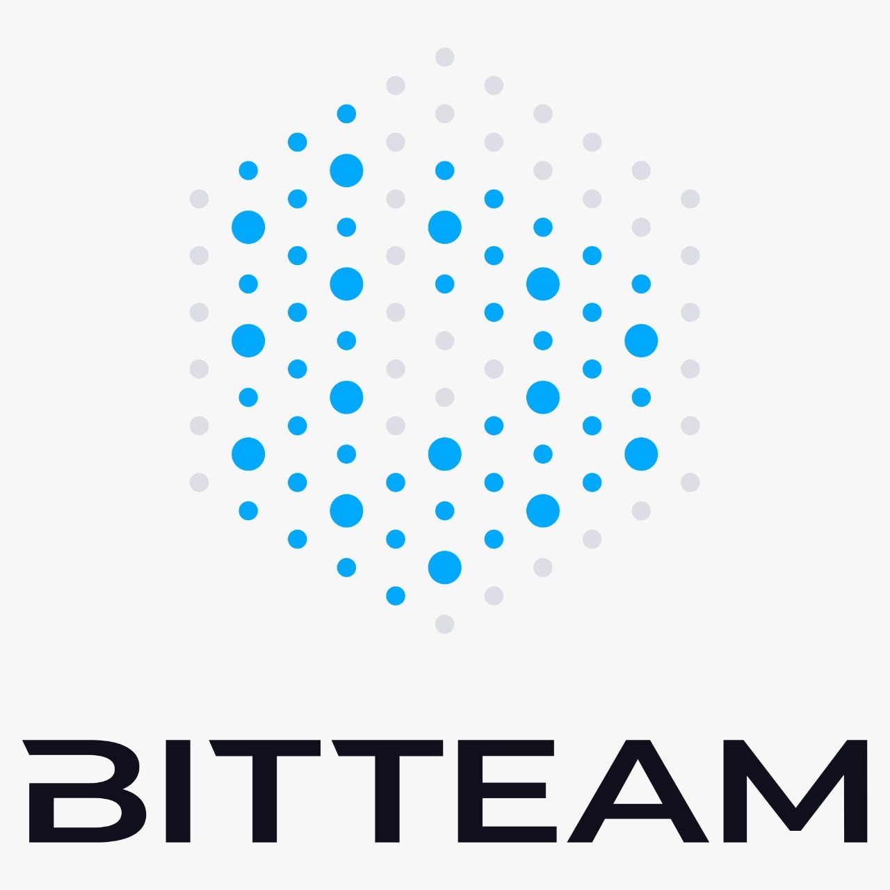 Логотип BIT.TEAM