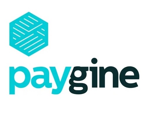 Логотип Paygine
