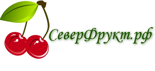 Логотип ООО Компания "Северфрукт"
