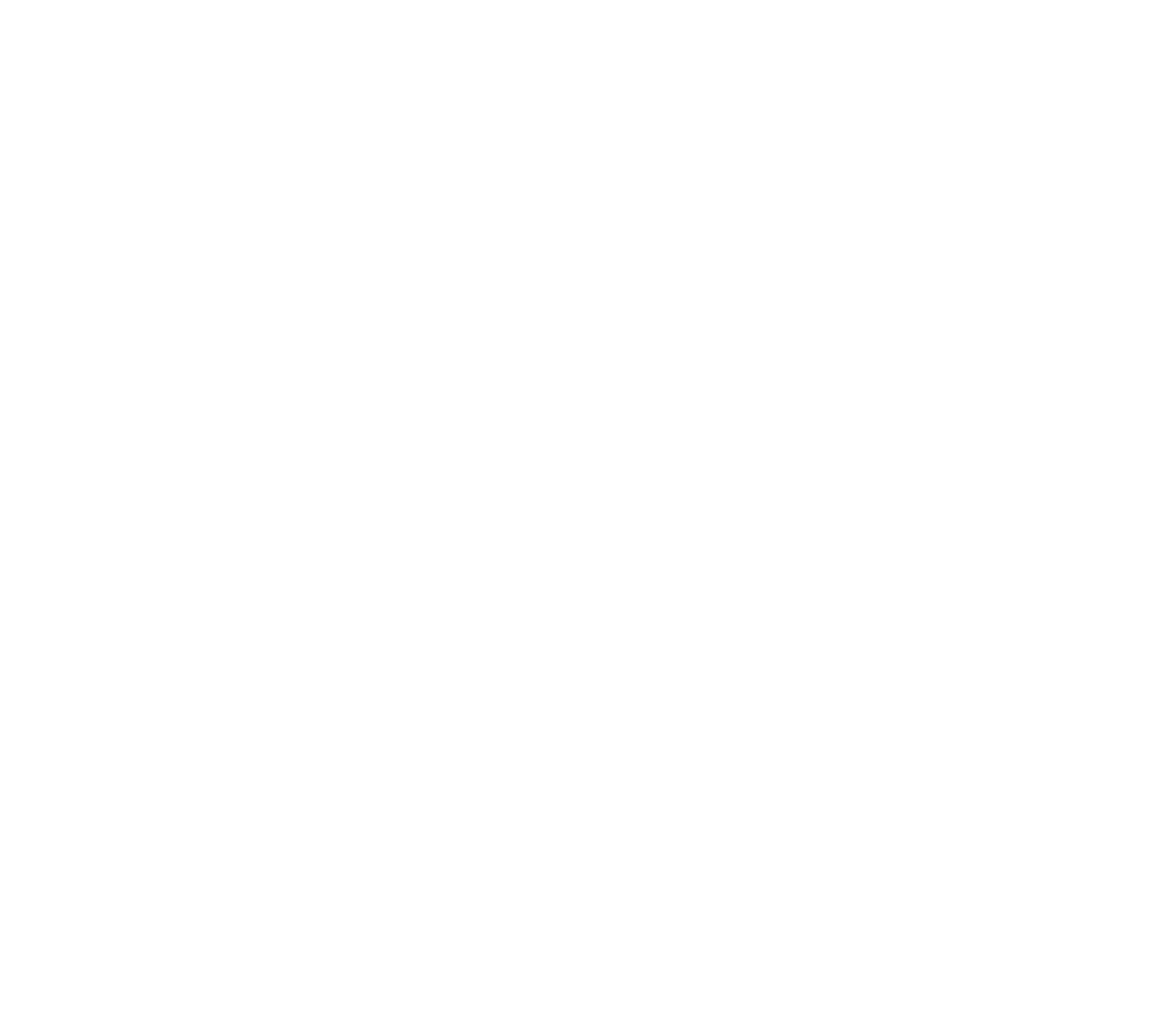 Логотип Haus Holz
