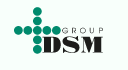 Логотип DSM Group